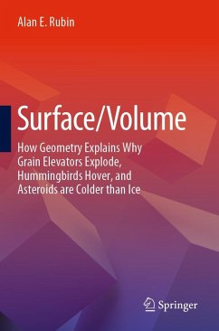 Surface/Volume - Rubin, Alan E.