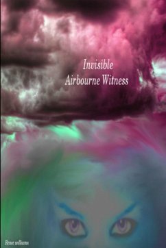 Invisible Airbourne Witness - Williams, Renee