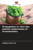 Propagation in vitro des plantes médicinales et ornementales