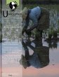 Undercurrent Journal - Bild 1