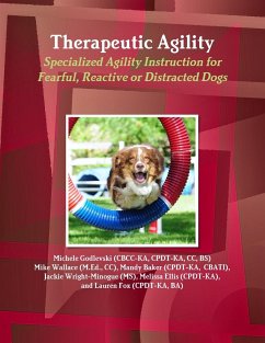 Therapeutic Agility - Godlevski, Michele