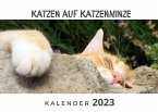 Katzen auf Katzenminze