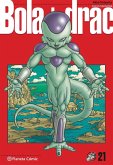 Bola de Drac Definitiva nº 22/34 - Akira Toriyama