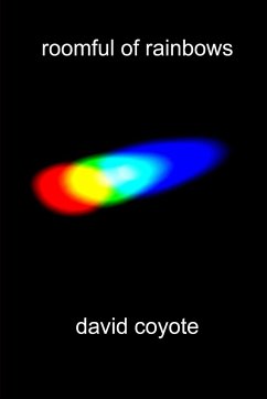 roomful of rainbows - Coyote, David