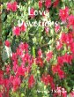 Love Devotions - Bild 1