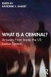 What Is a Criminal? (eBook, ePUB) - Bild 1