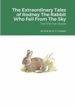 The Extraordinary Tales of Rodney The Rabbit Who Fell From The Sky - Cooper, N. P.