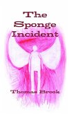 The Sponge Incident