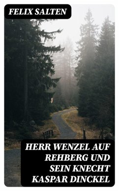 Herr Wenzel auf Rehberg und sein Knecht Kaspar Dinckel (eBook, ePUB) - Salten, Felix