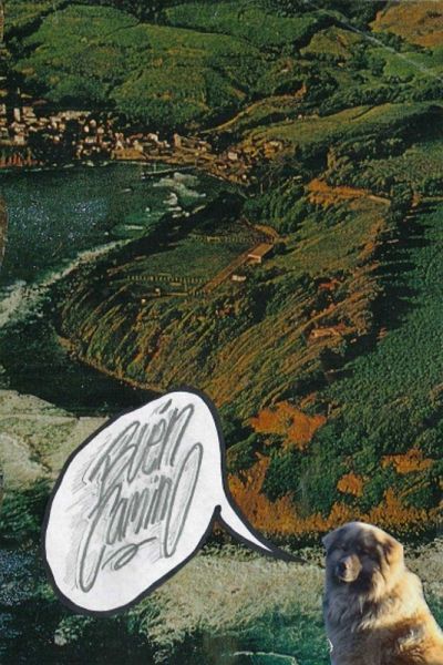 ¡Buen Camino! ¡Buen Camino!