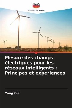 Mesure des champs électriques pour les réseaux intelligents : Principes et expériences - Cui, Yong