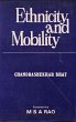 Ethnicity And Mobility (Emerging Ethnic... - Bild 1