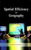 Spatial Efficiency in Geography (eBook, ePUB) Spatial Efficiency in Geography (eBook, ePUB)