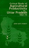 Critical Study of Agricultural Productivity in Uttar Pradesh 1951-1975 (eBook, ePUB)