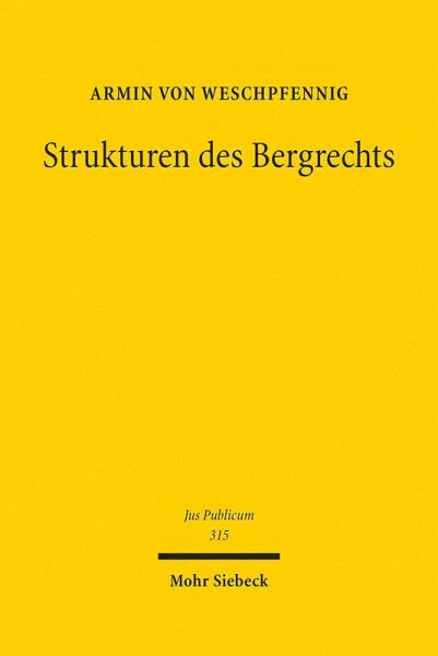 Strukturen des Bergrechts (eBook, PDF)