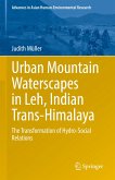 Urban Mountain Waterscapes in Leh, Indian Trans-Himalaya (eBook, PDF)