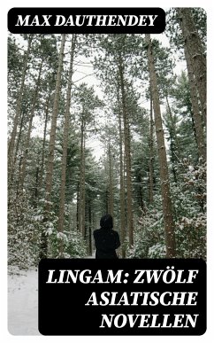 Lingam: Zwölf asiatische Novellen (eBook, ePUB) - Dauthendey, Max