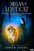 Megan And The Lost Cat (eBook, ePUB)