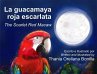 La guacamaya roja escarlata (eBook,... - Bild 1