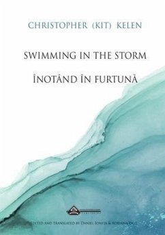 Cover Swimming in the Storm (eBook, ePUB)