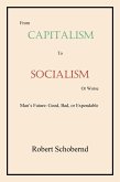 From Capitalism to Socialism or Worse (eBook, ePUB)