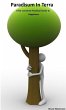Paradisum In Terra - a No-nonsense... - Bild 1