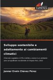 Sviluppo sostenibile e adattamento ai cambiamenti climatici