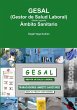 GESAL (Gestor de Salud Laboral) Ámbito... - Bild 1
