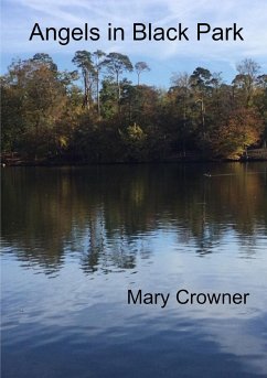 Angels in Black Park - Crowner, Mary