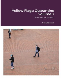 Yellow Flags - Breshears, Guy