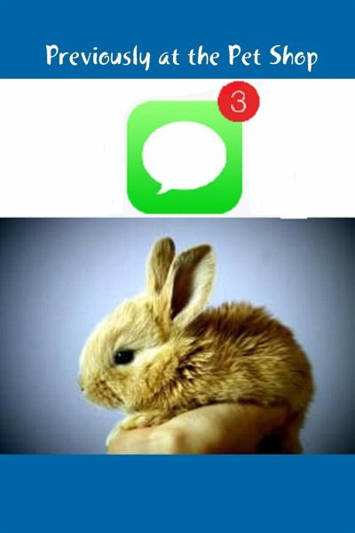 Previously at the Pet Shop