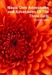 Magic Gem Adventures and Adventures Of... - Bild 1