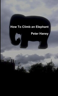 How to Climb an Elephant - Haney, Peter