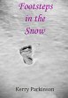 Footsteps In The Snow - Bild 1