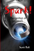 Spark! (The ignition of success.)