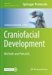 Craniofacial Development - Bild 1