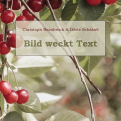 Bild weckt Text - Barnbrock, Christoph;Schätzel, Dörte