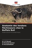 Anatomie des tendons fléchisseurs chez le Buffalo Bull