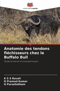 Anatomie des tendons fléchisseurs chez le Buffalo Bull - Ravali, K S S;Pramod Kumar, D;Purushotham, G