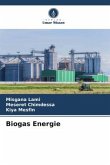 Biogas Energie