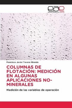 COLUMNAS DE FLOTACIÓN: MEDICIÓN EN ALGUNAS APLICACIONES NO-MINERALES - Tavera Miranda, Francisco Javier