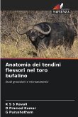 Anatomia dei tendini flessori nel toro bufalino