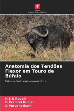 Anatomia dos Tendões Flexor em Touro de Búfalo - Ravali, K S S;Pramod Kumar, D;Purushotham, G