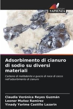 Adsorbimento di cianuro di sodio su diversi materiali - Reyes Guzmán, Claudia Verónica;Muñoz Ramirez, Leonor;Castillo Lazarin, Yinady Yarime