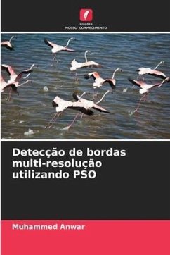 Detecção de bordas multi-resolução utilizando PSO - Anwar, Muhammed