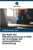 Die Rolle der Mikrofinanzierung in KMU als Grundlage der wirtschaftlichen Entwicklung