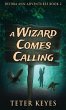 A Wizard Comes Calling - Bild 1