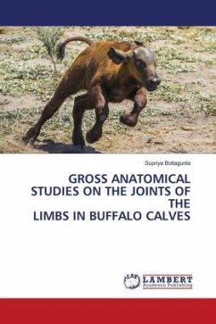 GROSS ANATOMICAL STUDIES ON THE JOINTS OF THE LIMBS IN BUFFALO CALVES - Botlagunta, Supriya