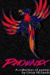 Phoenix - Bild 1