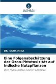 Eine Folgenabschätzung der Ozon-Phtotoxizität auf indische Nutzpflanzen